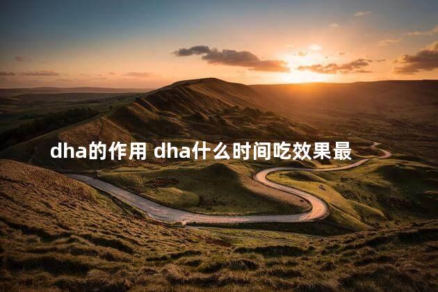 dha的作用 dha什么时间吃效果最佳时间